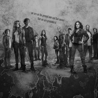 The 100 wallpaper