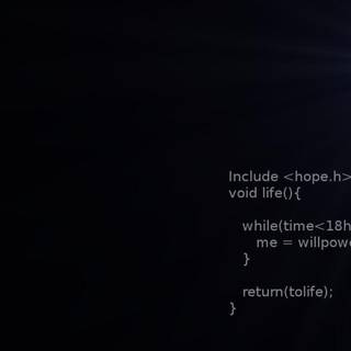 Programmer wallpaper