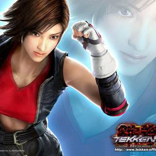 HD wallpaper of tekken 5 and tag