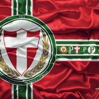 Palmeiras wallpaper