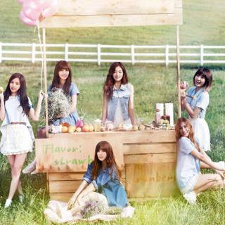 Apink wallpaper