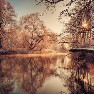 Sony Xperia wallpaper