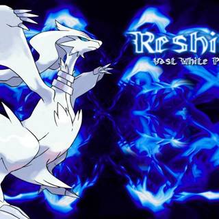 Reshiram wallpaper
