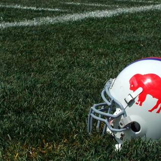 Buffalo Bills wallpaper