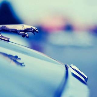 Jaguar logo wallpaper