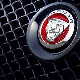 Jaguar logo wallpaper