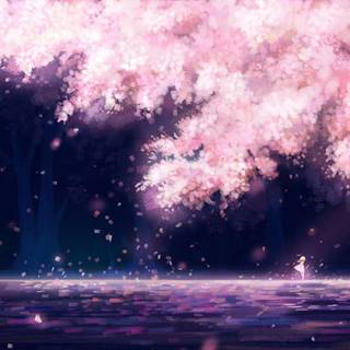 Shigatsu wa Kimi no Uso wallpaper