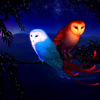 VanossGaming wallpaper