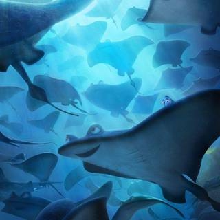 Finding Dory wallpaper
