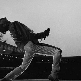 Freddie Mercury wallpaper