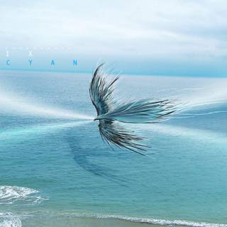 Ave Fénix wallpaper