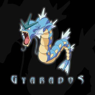 Gyarados wallpaper