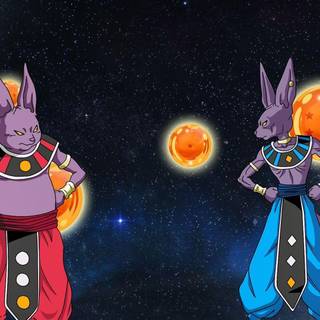 Beerus wallpaper