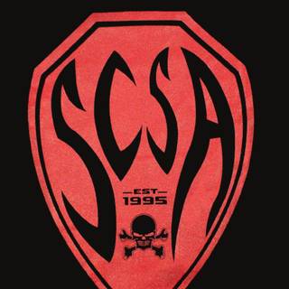 Stone Cold Steve Austin wallpaper