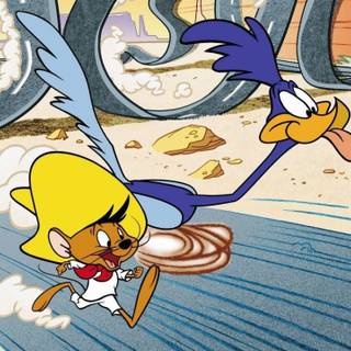  Road Runner wallpaper