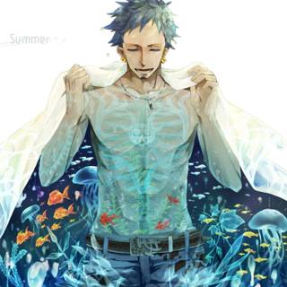 One Piece Law wallpaper