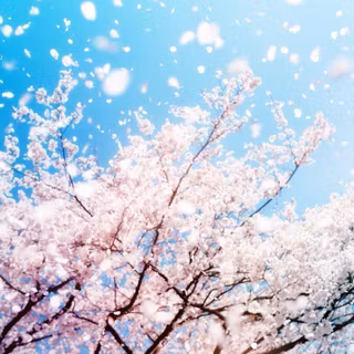 Spring begins wallpaper