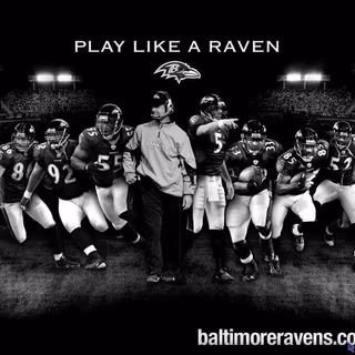Baltimore Ravens wallpaper