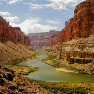 Marshmellow wallpaper