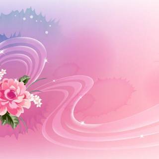 Pink flowers wallpaper