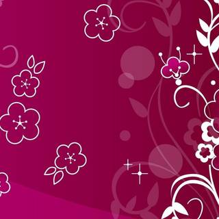 Magenta wallpaper