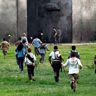 The Maze Runner wallpaper