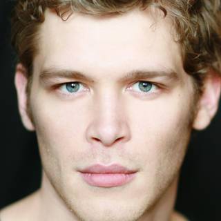Joseph Morgan wallpaper