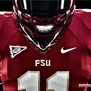 Florida State University wallpaper