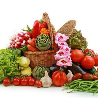 Vegetables wallpaper