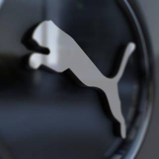 Wallpapers of pumas