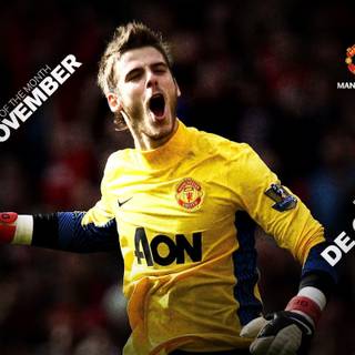 Goalkeeper wallpaper