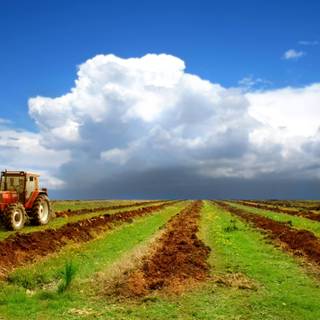 Agriculture wallpaper