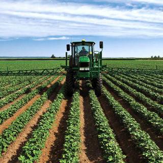 Agriculture wallpaper