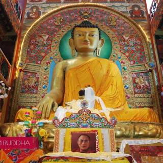 Gautama Buddha wallpaper