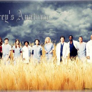 Grey's Anatomy wallpaper