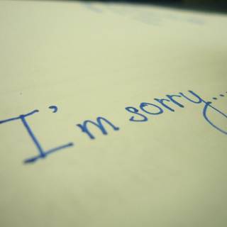 Sorry wallpaper