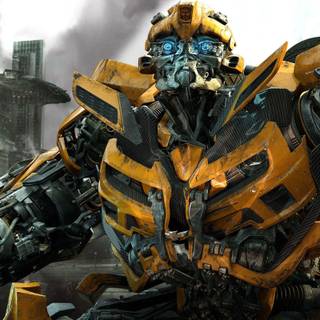 Bumble Bee wallpaper