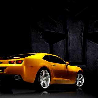 Bumble Bee wallpaper