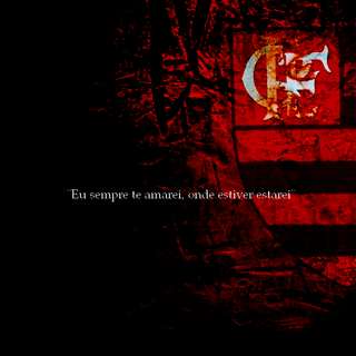 Flamengo wallpaper