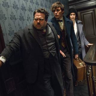 Fantastic Beasts and Where to Find Them wallpaper