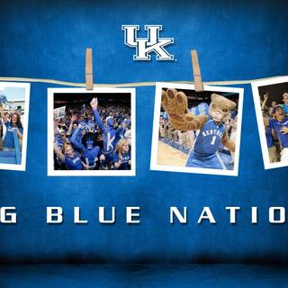 Kentucky Wildcats wallpaper