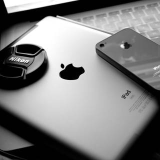 Photograph wallpaper