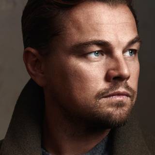 Leonardo DiCaprio 2017 wallpaper