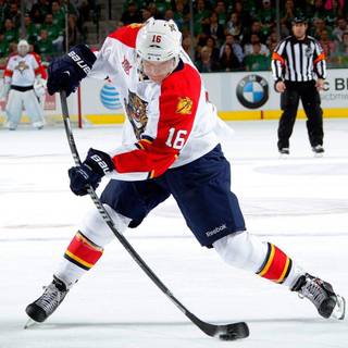 Florida Panthers wallpaper