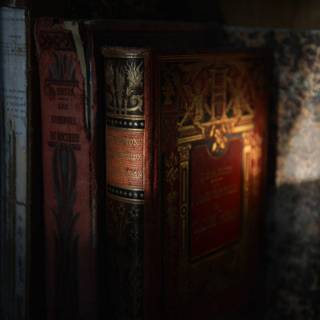 Literature wallpaper