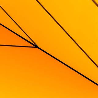 Windows 8.1 wallpaper