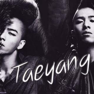 Taeyang wallpaper