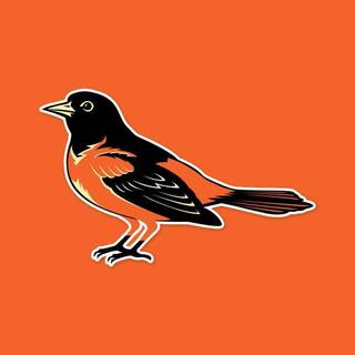 Baltimore Orioles wallpaper