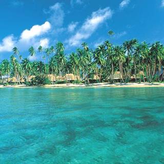Fiji wallpaper