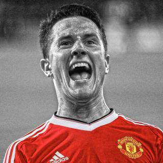 Ander Herrera wallpaper